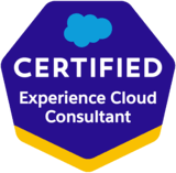 Community Cloud Consultant